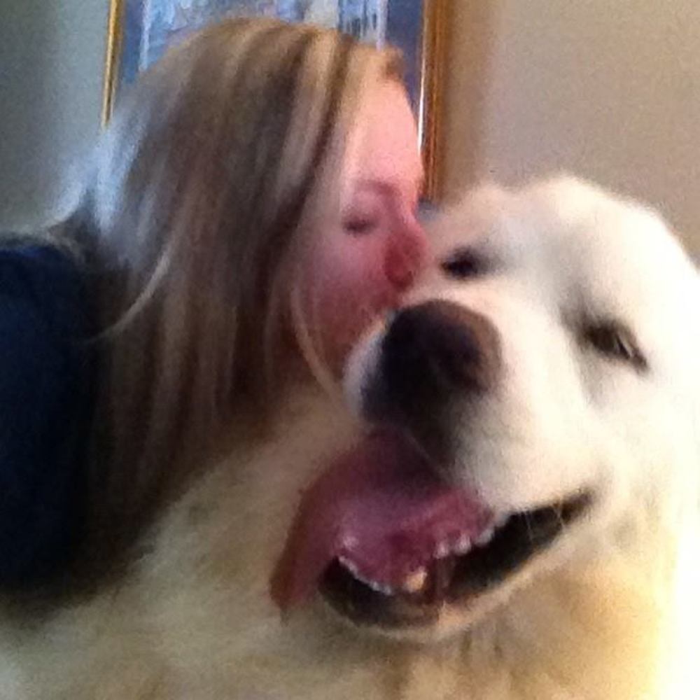 Meet your Posher, Ginger